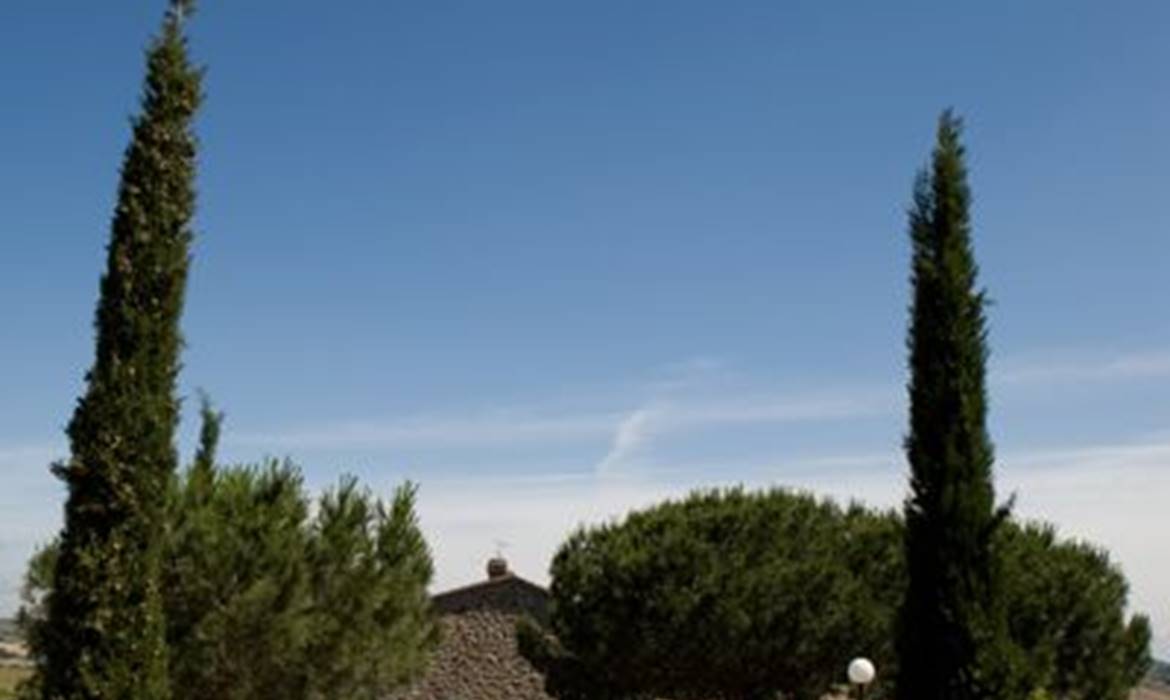 BOSCHETTO DI MONTIANO