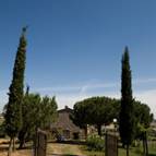 BOSCHETTO DI MONTIANO