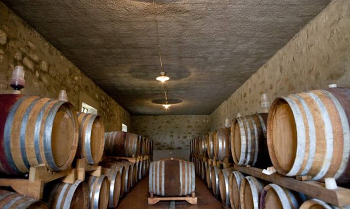 BOSCHETTO DI MONTIANO