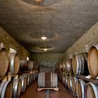 BOSCHETTO DI MONTIANO