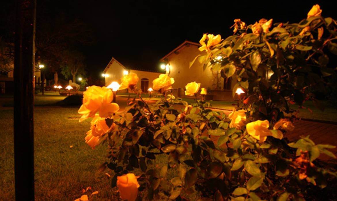 PODERE TURICCHIO