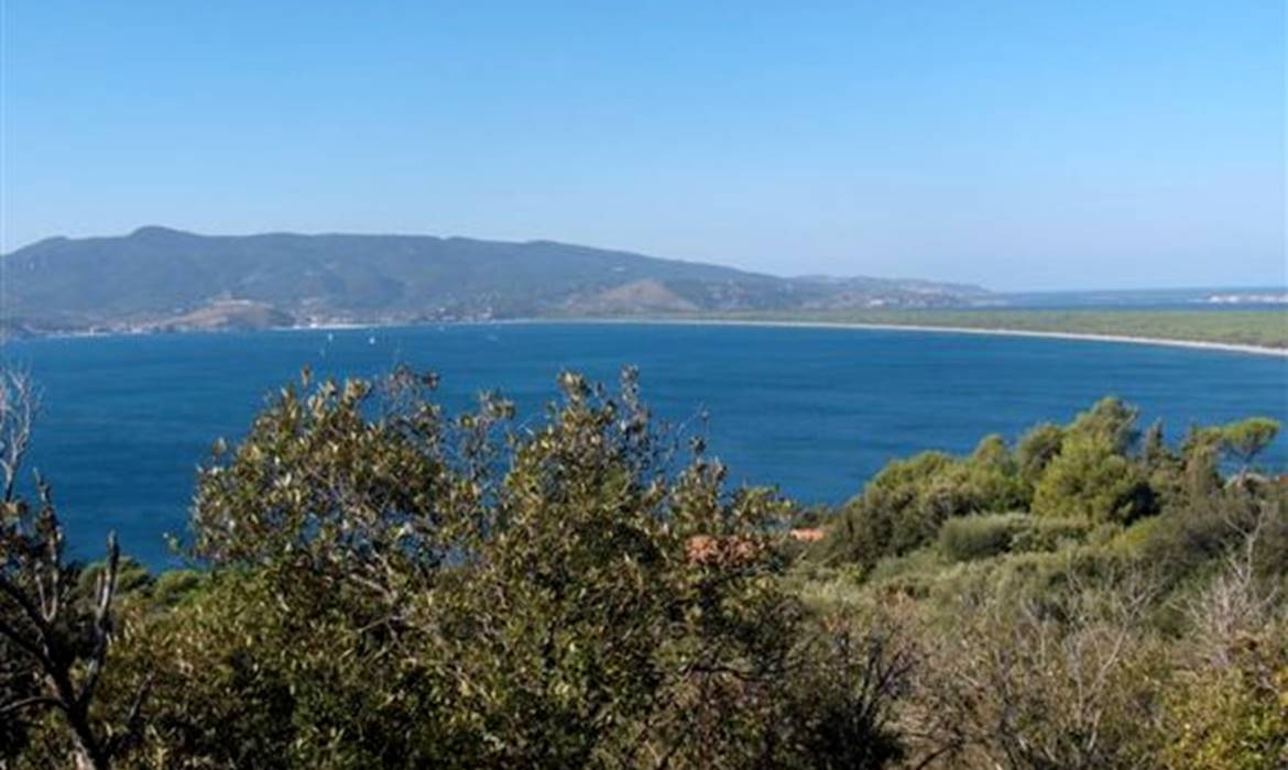 POGGIO CAMPANA
