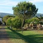 Agriturismo Le Venelle