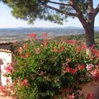 Bed and Breakfast San Sebastiano