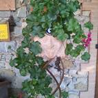 Bed and Breakfast San Sebastiano