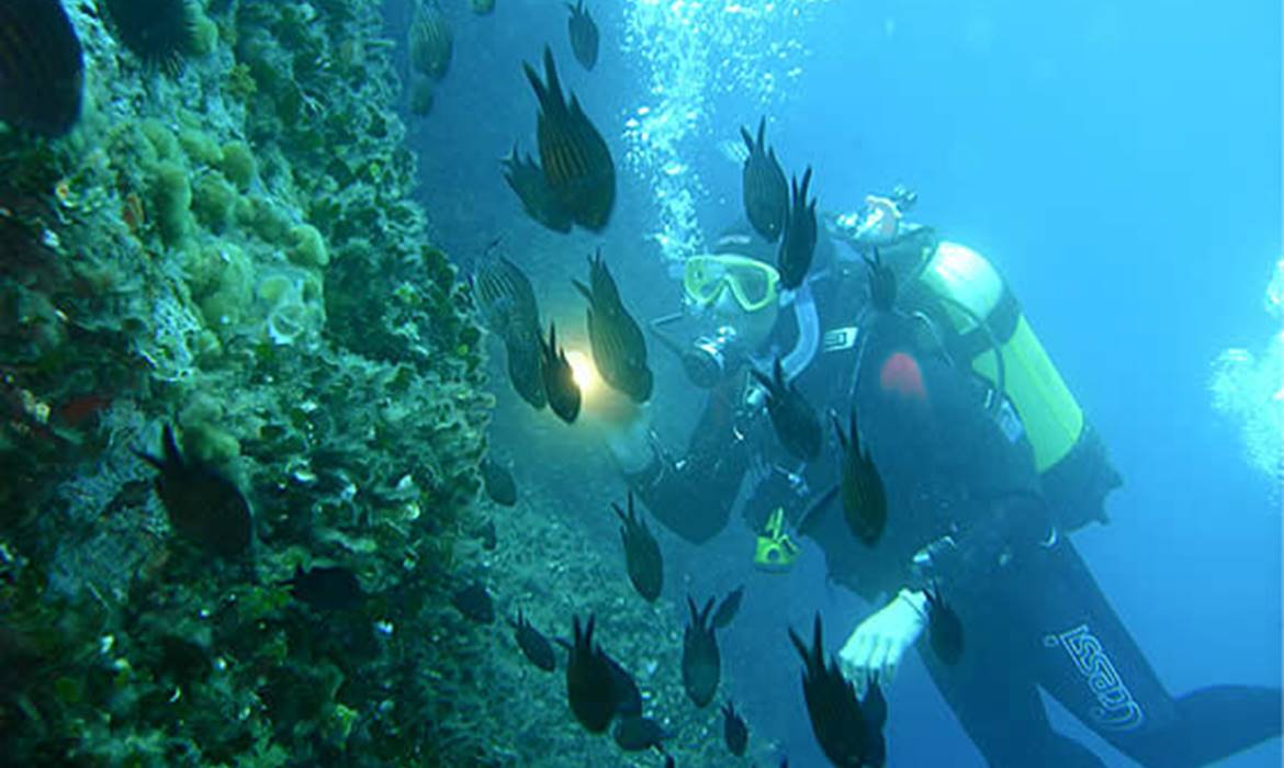 Diving Il Nostromo