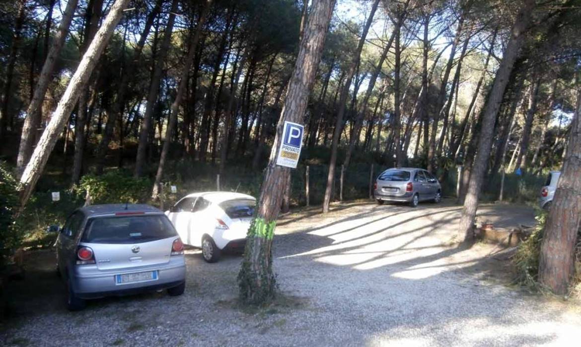 1 I Gigli di Mare