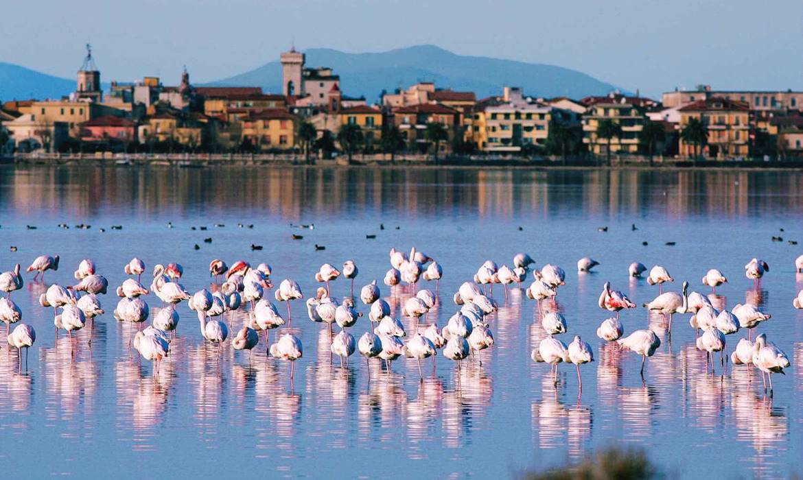 Alberghi Park Hotel e Residence