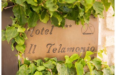 Hotel Telamonio