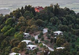 AGRITURISMO RELAIS VEDETTA