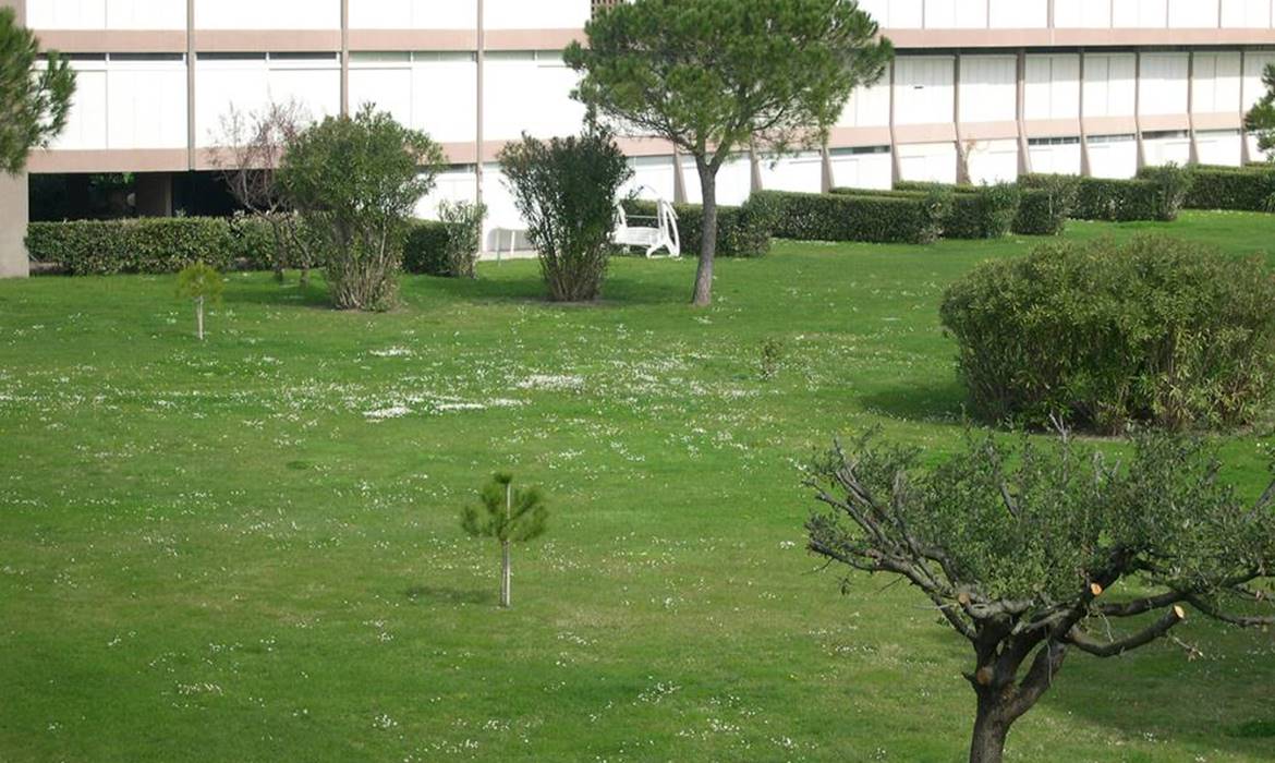 Agenzia Immobiliare California