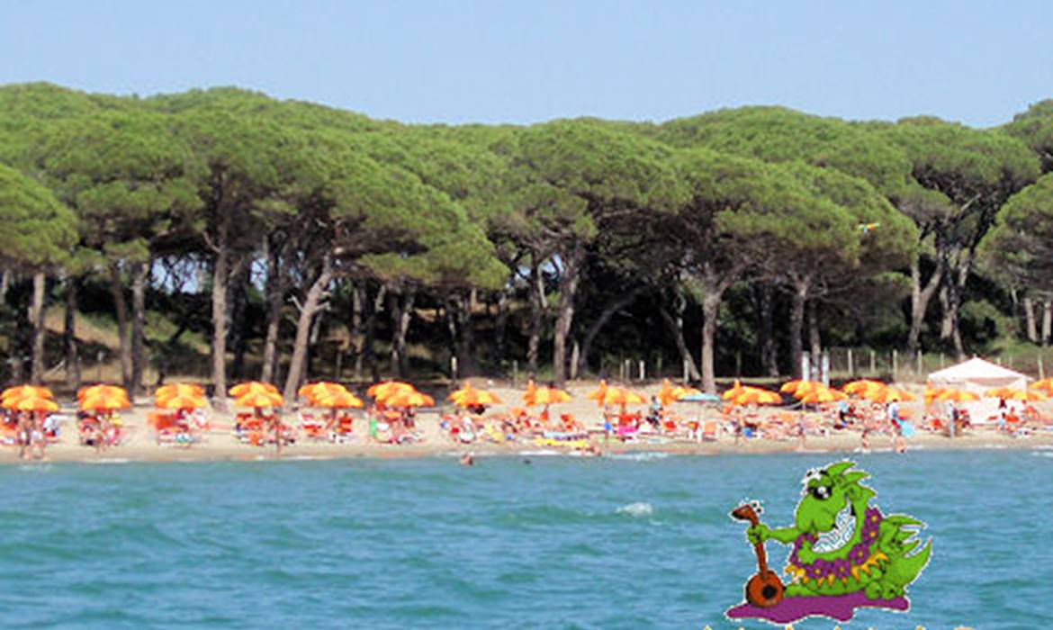 Camping Il Fontino