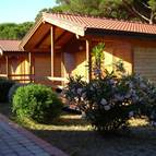 CAMPING VILLAGE OASI
