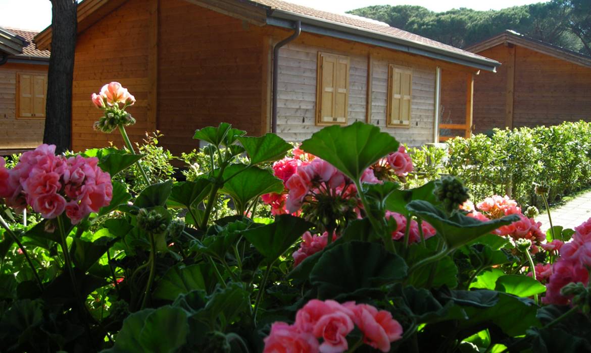 CAMPING VILLAGE OASI