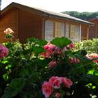 CAMPING VILLAGE OASI