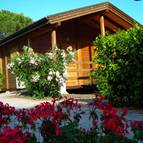 CAMPING VILLAGE OASI