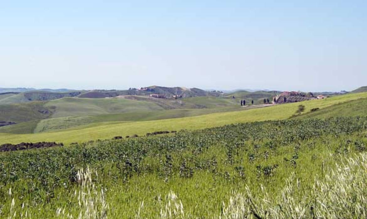 Ferma Wakacje Villa Boldrini