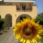 Appartement Solemar