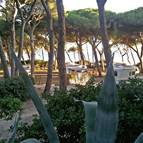 Camping Pineta del Golfo