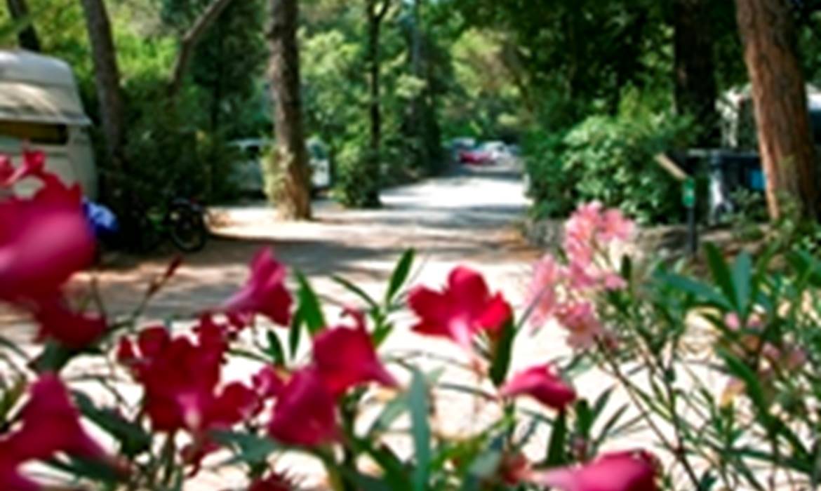 Campeggio Camping Casa di Caccia