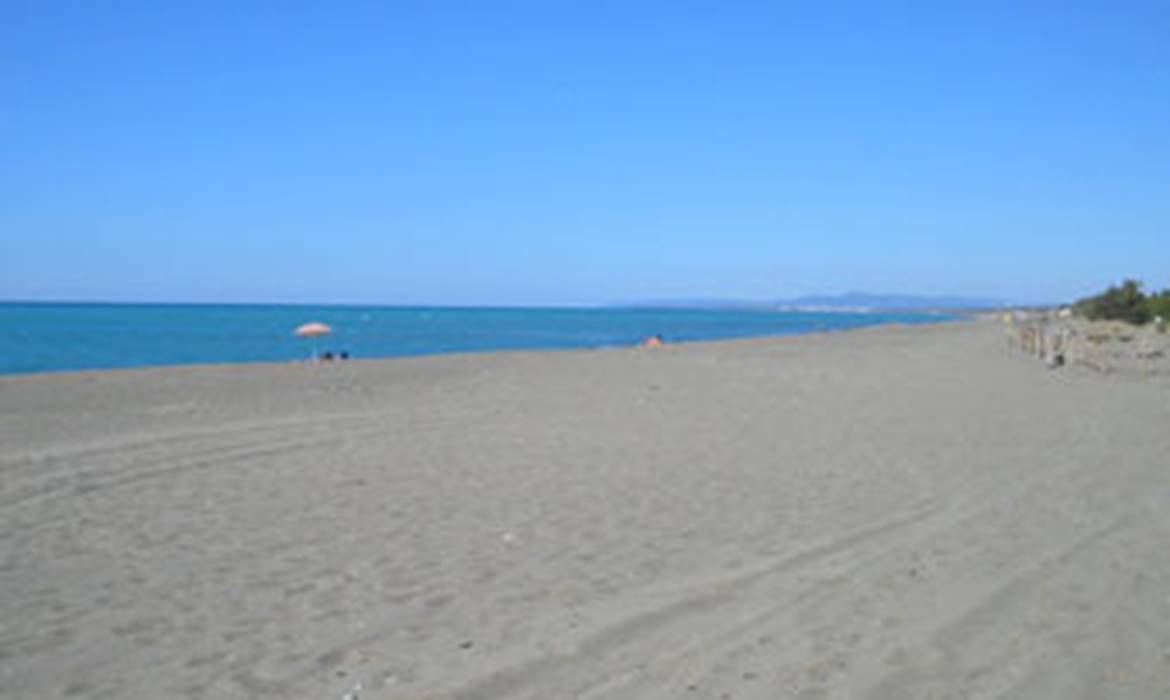 1 Il Gineprino