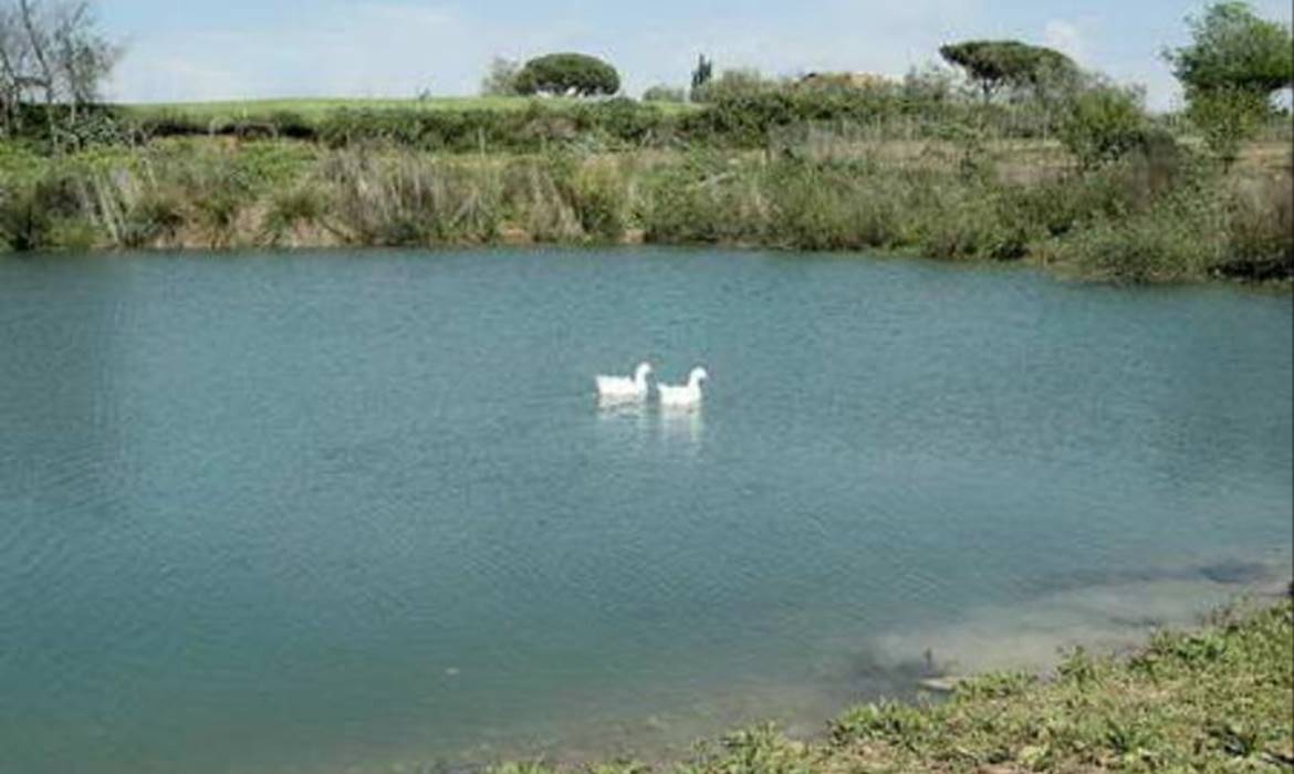 1 I tre Fossi