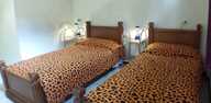 Hotel Hotel Firenze 2000 Firenze