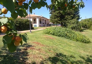 HOLIDAYS HOUSE LE MURATELLE