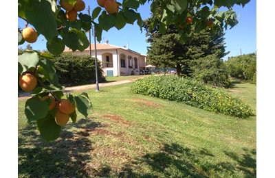 Holidays House Le Muratelle