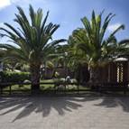 CAMPING VILLAGE OASI