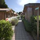 CAMPING VILLAGE OASI