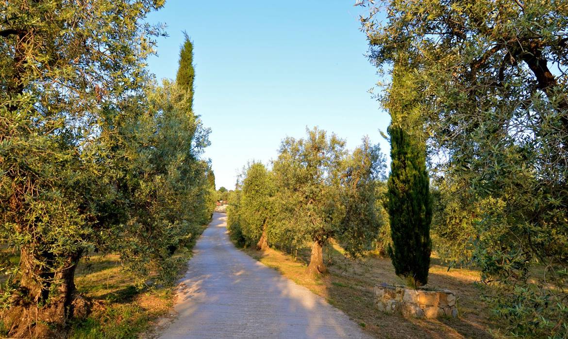 1 Fonte di Foiano