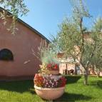 Case Vacanza Podere Casalpiano