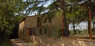 agriturismo Il Poderino Bibbona