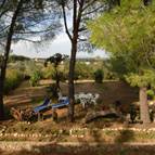 Vacances de ferme Il Poderino