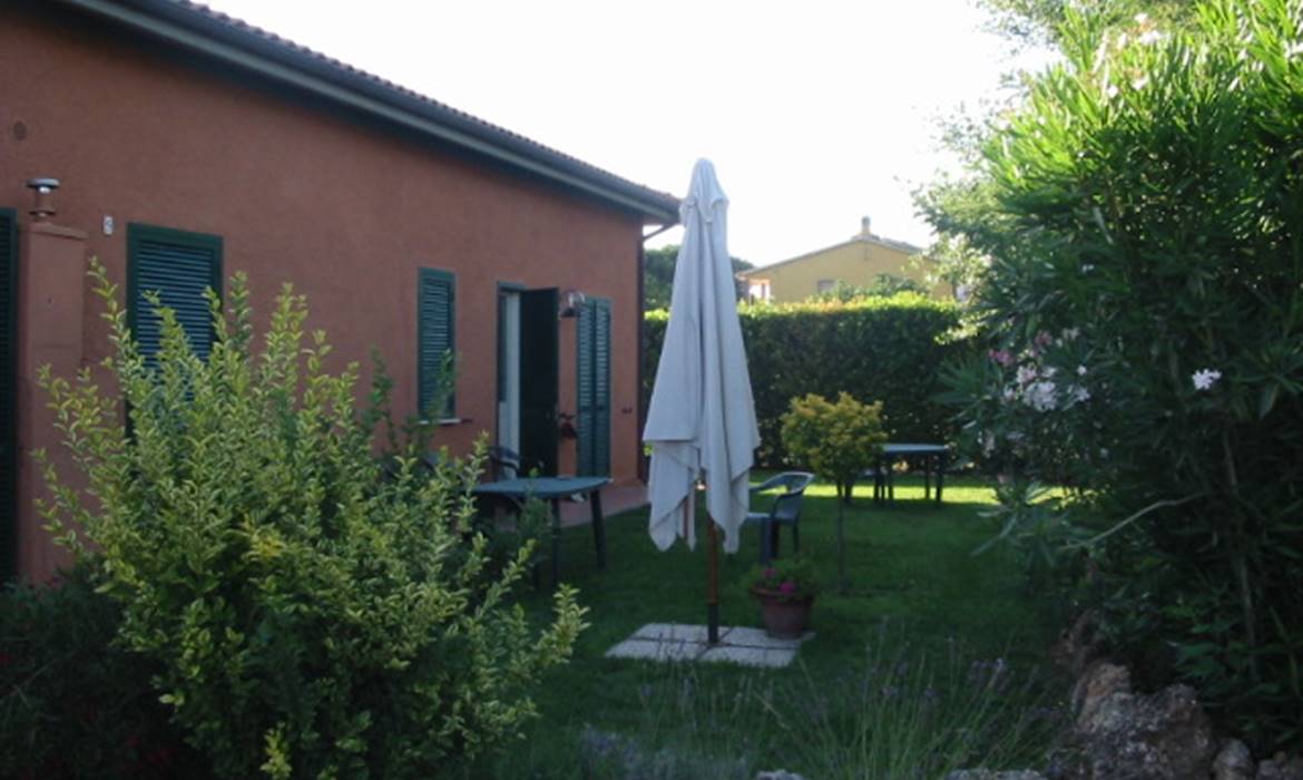 1 Agrifoglio