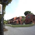 PINETA