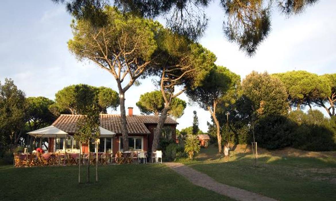 PINETA