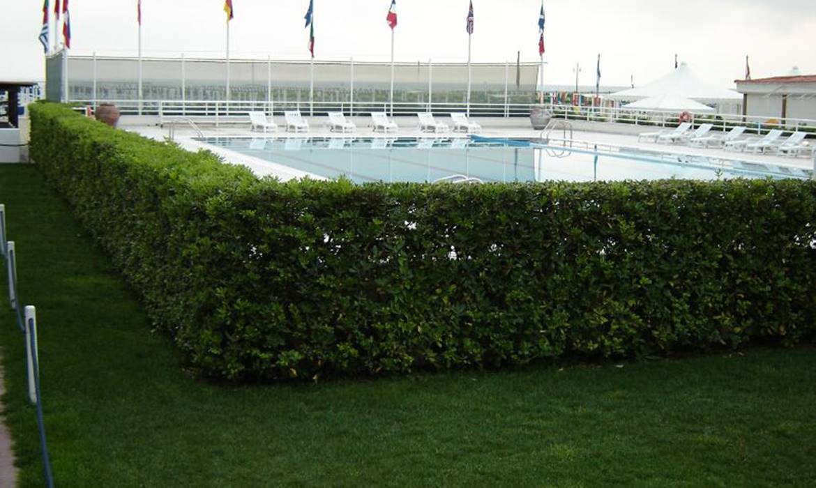 Stabilimenti Balneari Bagno Fortunato