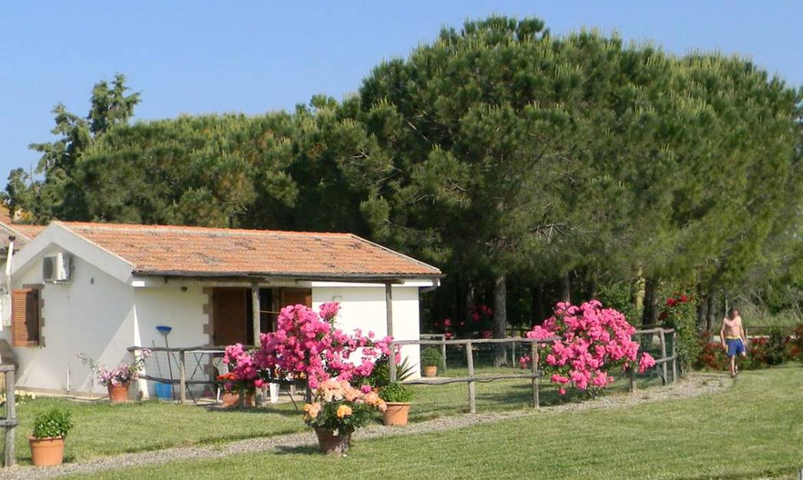 Agriturismo Podere Il Roseto