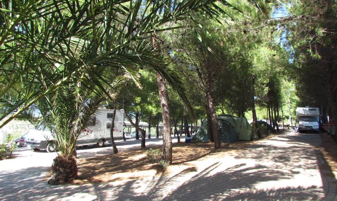 Campeggio Camping Le Rondini di San Bartolo