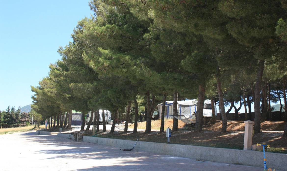 Agriturismo Le Rondini di San Bartolo