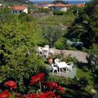 Bed and Breakfast Casa Lupi