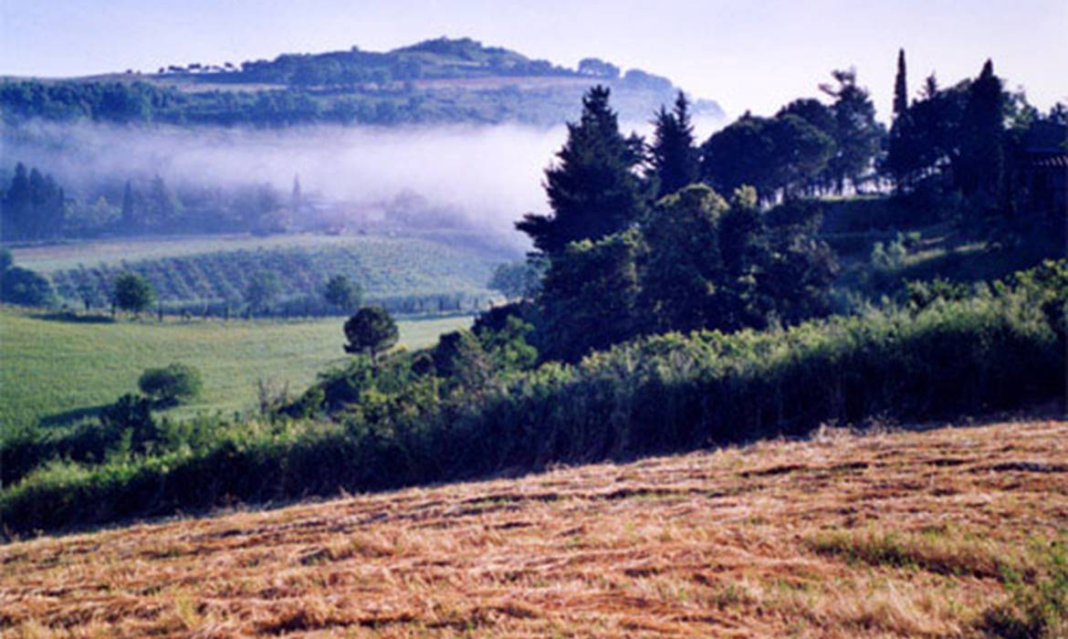 Vacances de ferme Podere Chiavicone