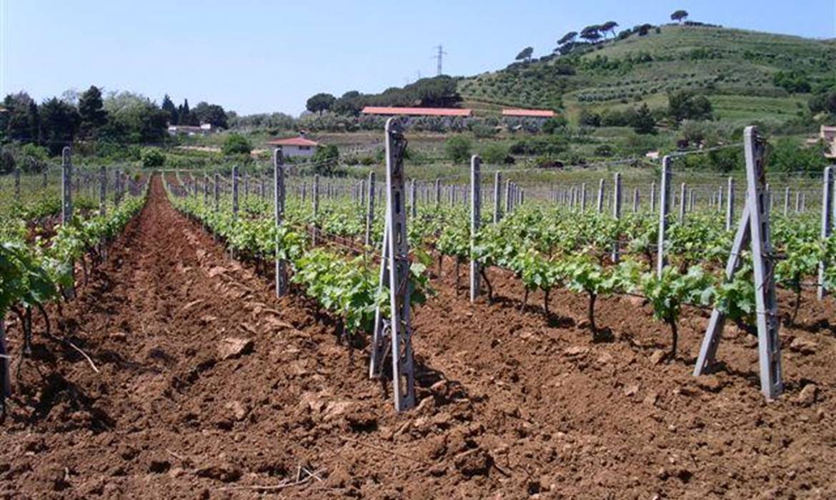 Vacances de ferme Rebua