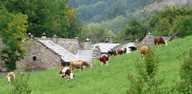 Farm Holidays Il Borgo dei Celti Fiumalbo