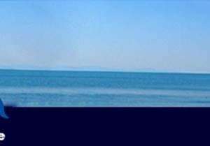 REAL ESTATE AGENCY LA VELA