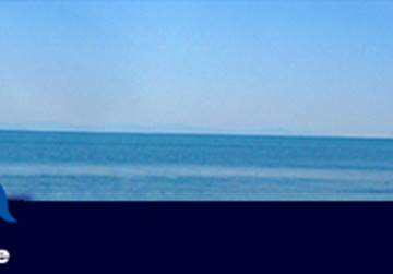 AGENZIA IMMOBILIARE LA VELA