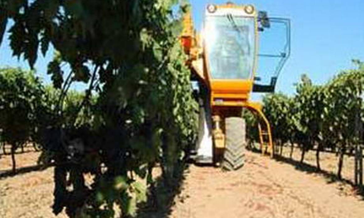 Compañía del vino Azienda Bruni