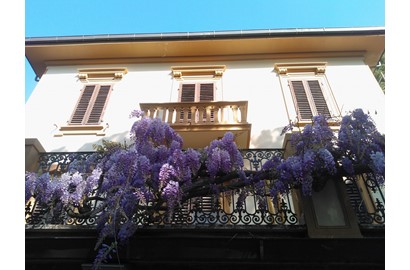 appartamenti Villa Violetta